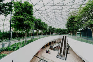 Urban Sustainability